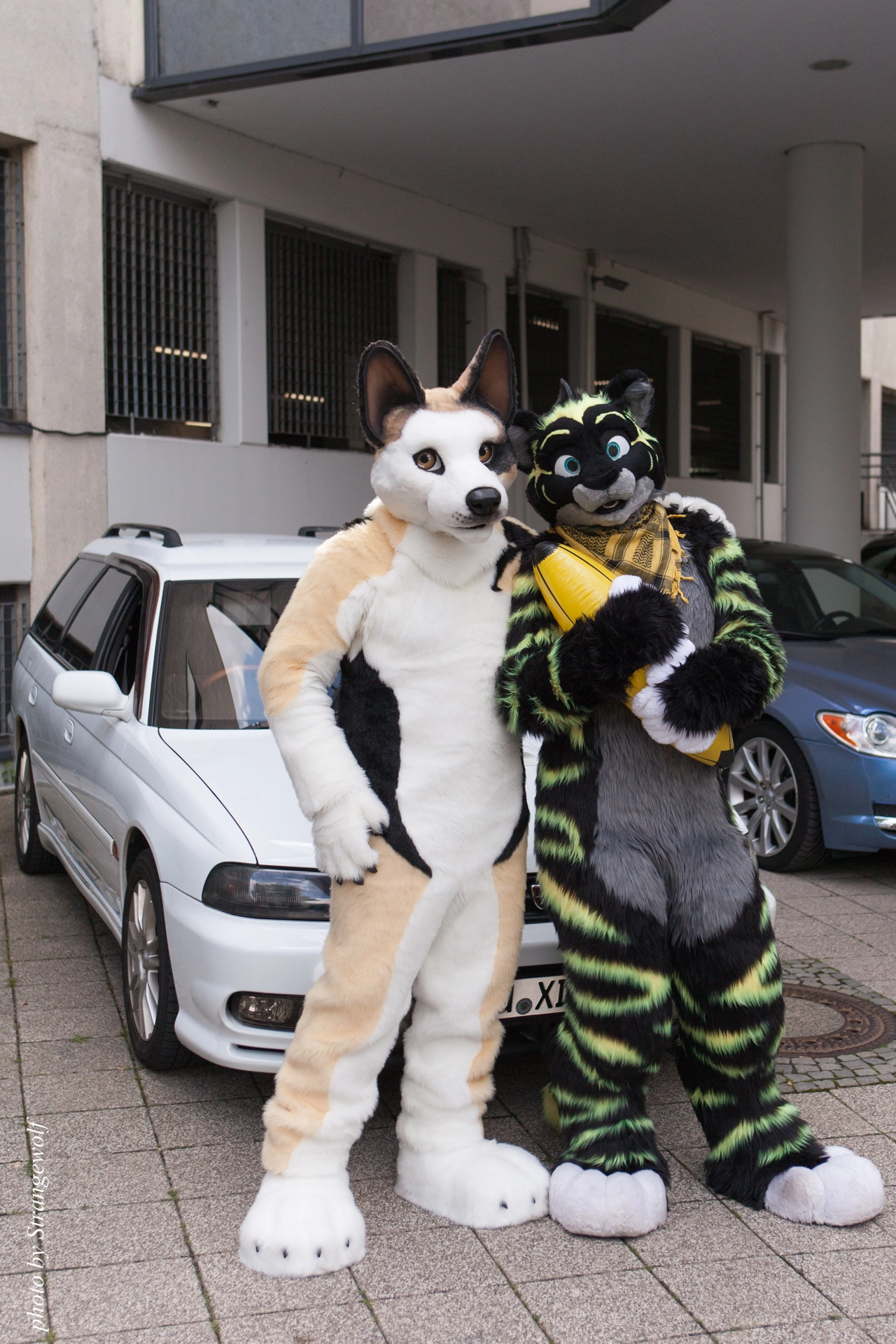 full image IMG_6802-lr19t.jpg