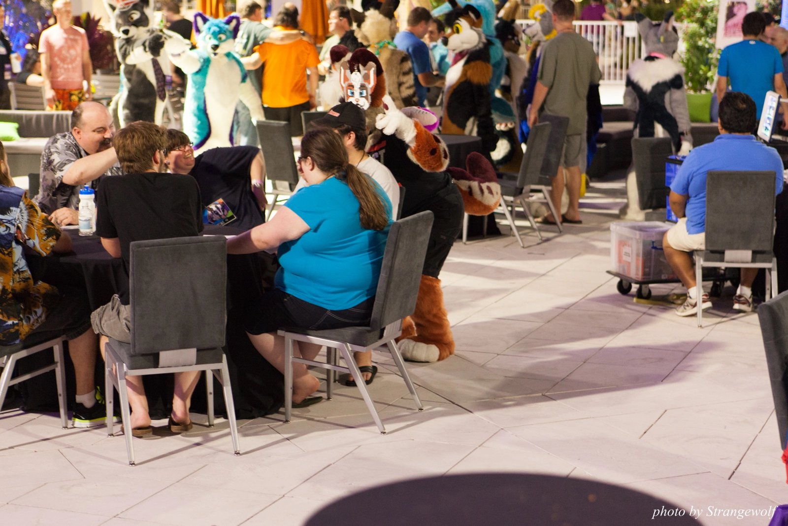 full image IMG_8549-lr16t.jpg