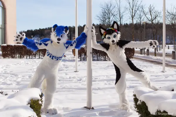 IMG_9834-lr19t.jpg of NFC/NFC2018/