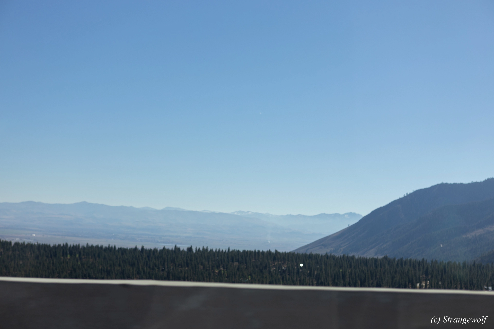 full image 1R3A3074-lr19t.jpg