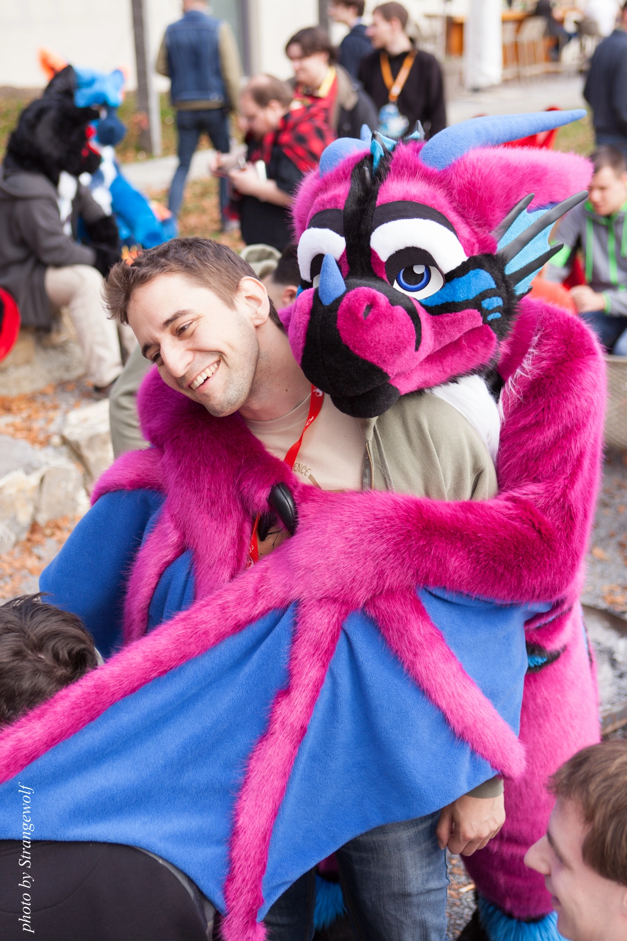 full image IMG_7907-lr19t.jpg