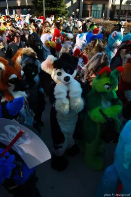 IMG_0705-lr.jpg of MFF/MFF2013/