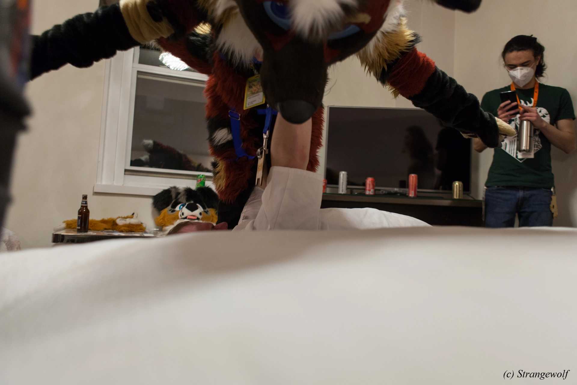 full image IMG_3380-lr19t.jpg