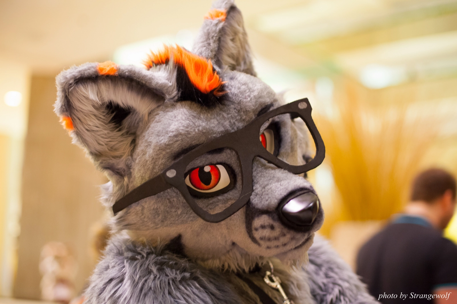 full image IMG_4115-lr16t.jpg