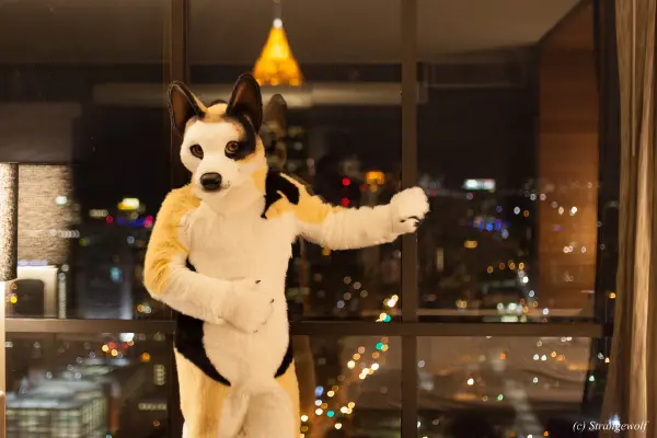 IMG_2110-lr19t.jpg of FWA/FWA2018/