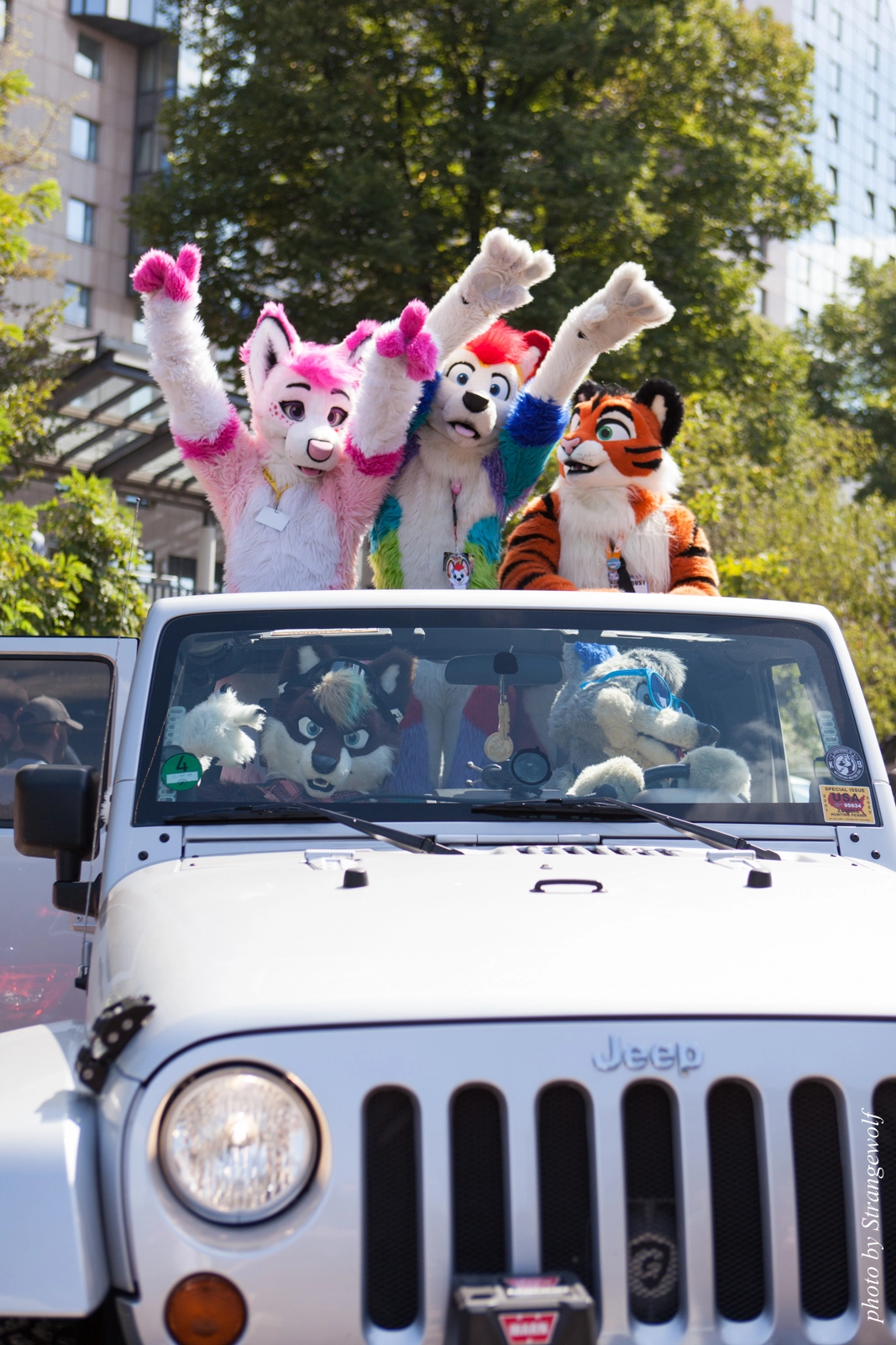 full image IMG_2220-lr16t.jpg