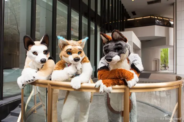 IMG_1685-lr19t.jpg of FWA/FWA2018/