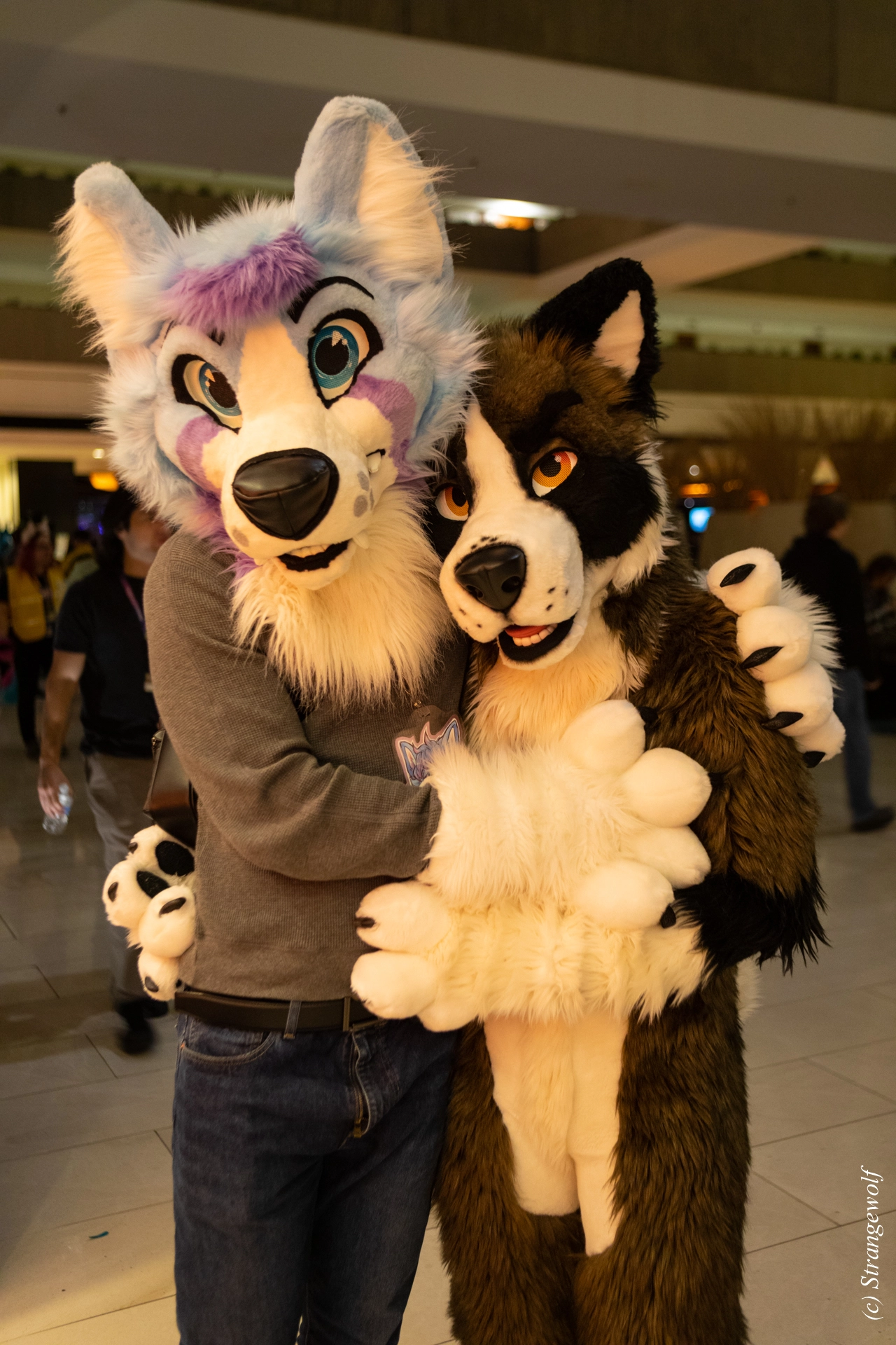 full image 1R3A0287-lr19t.jpg