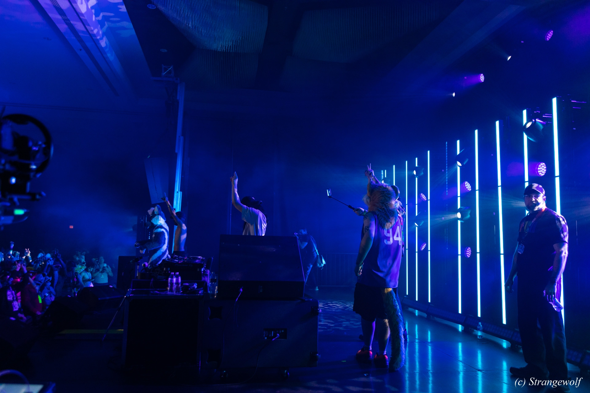 full image 1R3A5000-lr19t.jpg