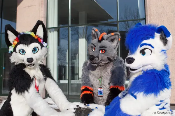 IMG_9661-lr19t.jpg of NFC/NFC2018/