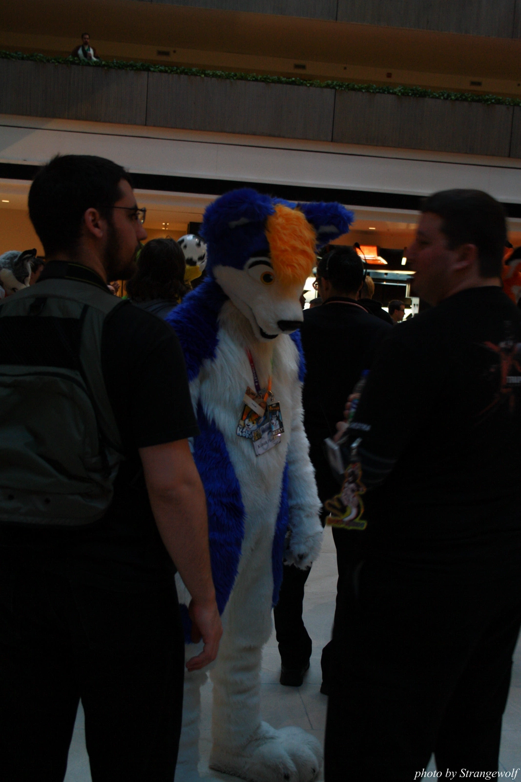 full image IMG_0765-lr.jpg