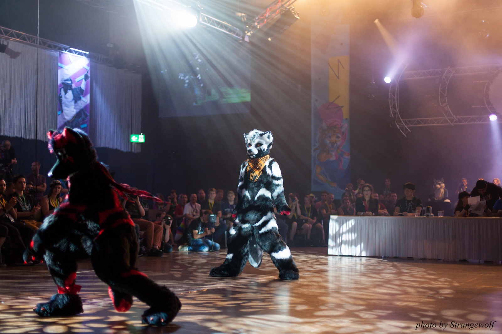 full image IMG_9837-lr16t.jpg