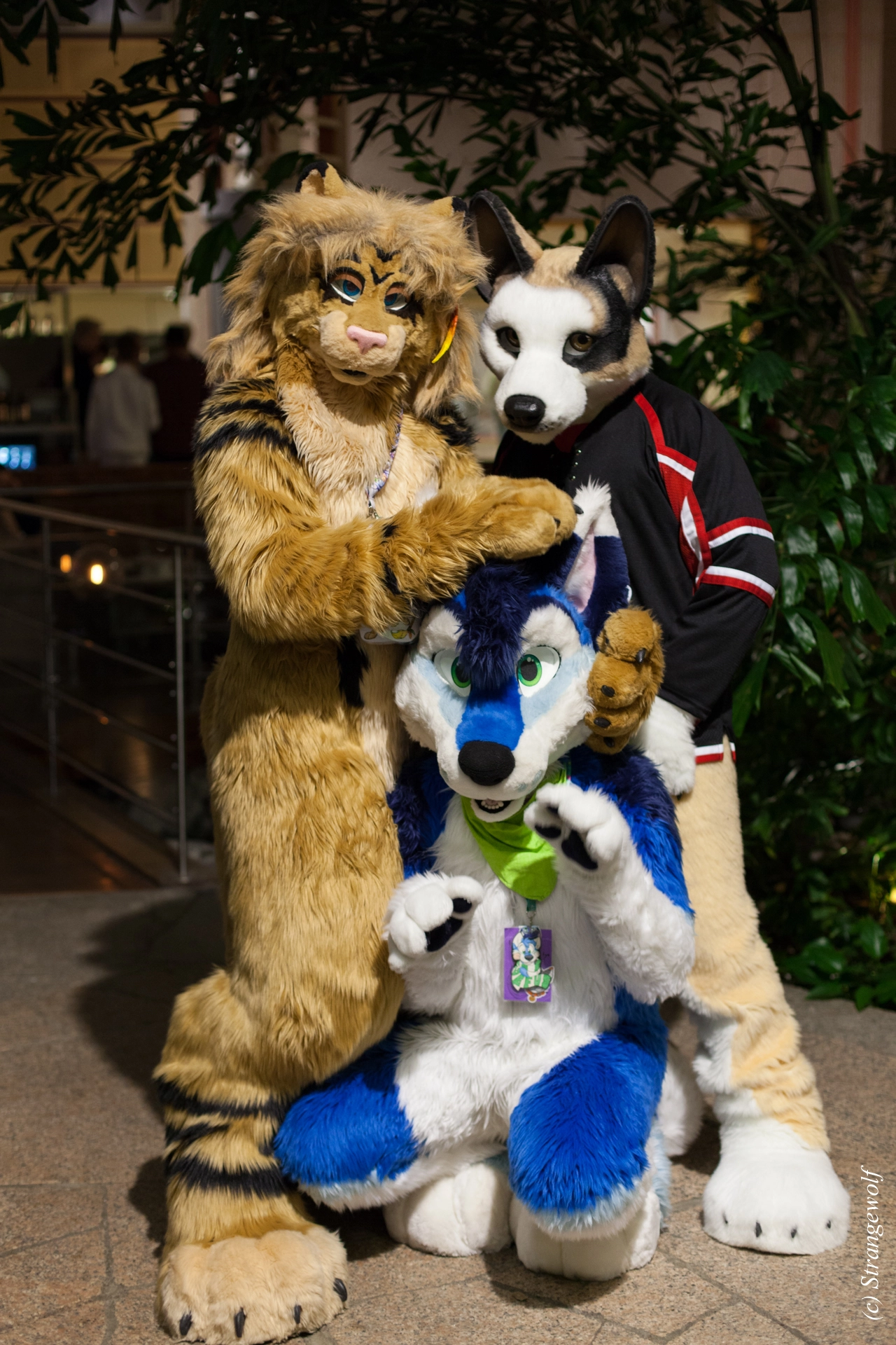 full image IMG_9056-lr19t.jpg