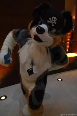 IMG_1066-lr.jpg of MFF/MFF2013/