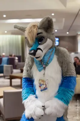 IMG_7168-lr16t.jpg of CFZ/CFZ2016/