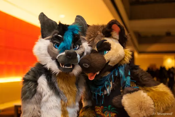 IMG_7974-lr19t.jpg of MFF/MFF2019/