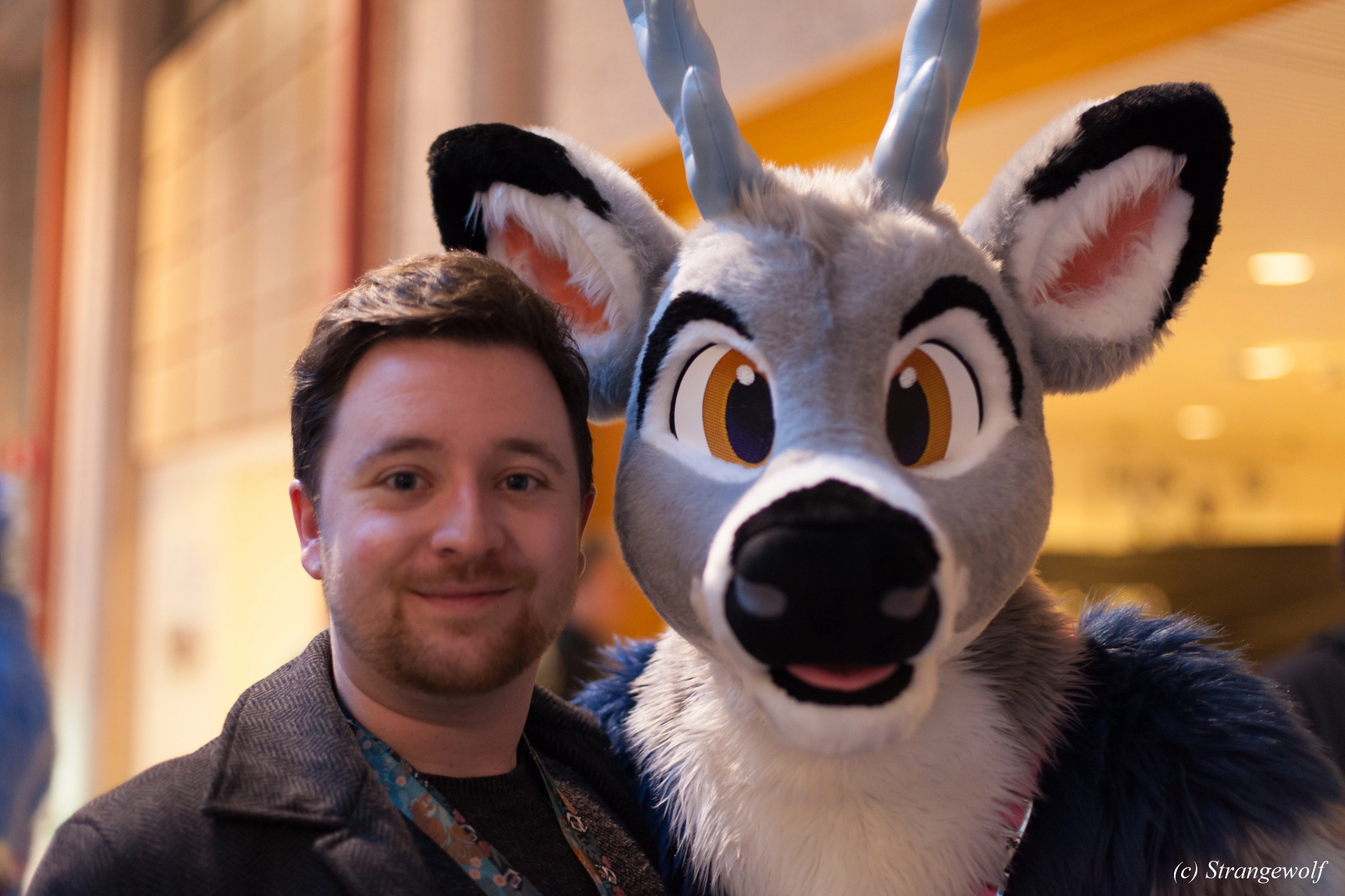 full image IMG_9607-lr19t.jpg