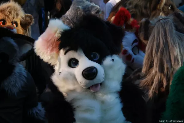 IMG_0703-lr.jpg of MFF/MFF2013/