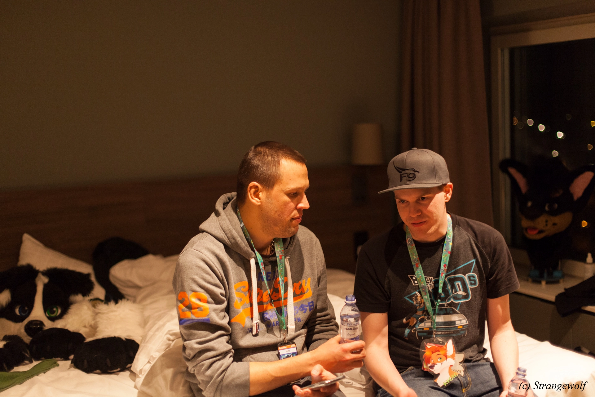 full image IMG_9510-lr19t.jpg