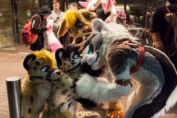 IMG_6857-lr19t.jpg of MFF/MFF2018/