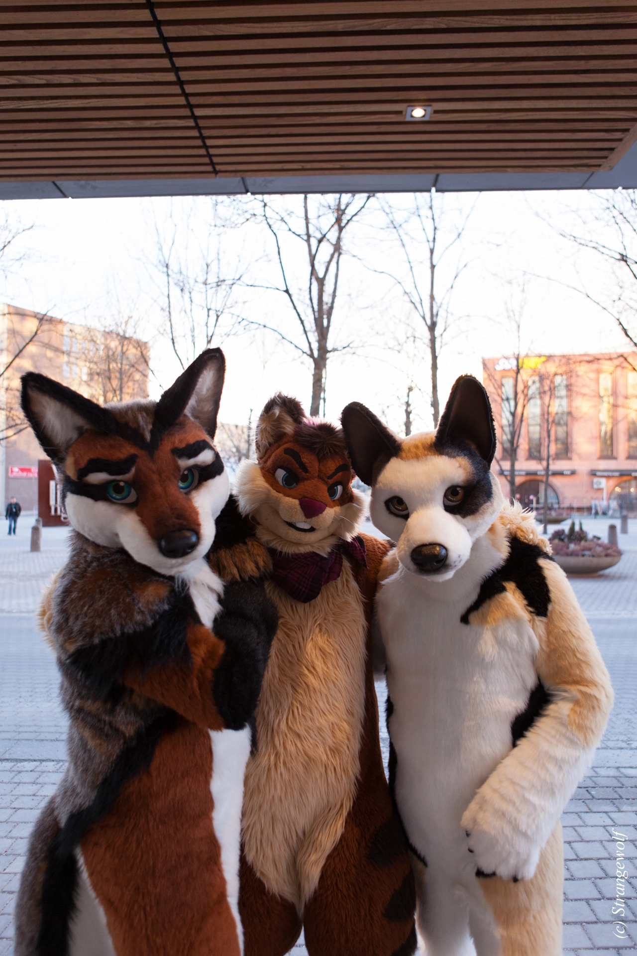 full image IMG_8872-lr19t.jpg