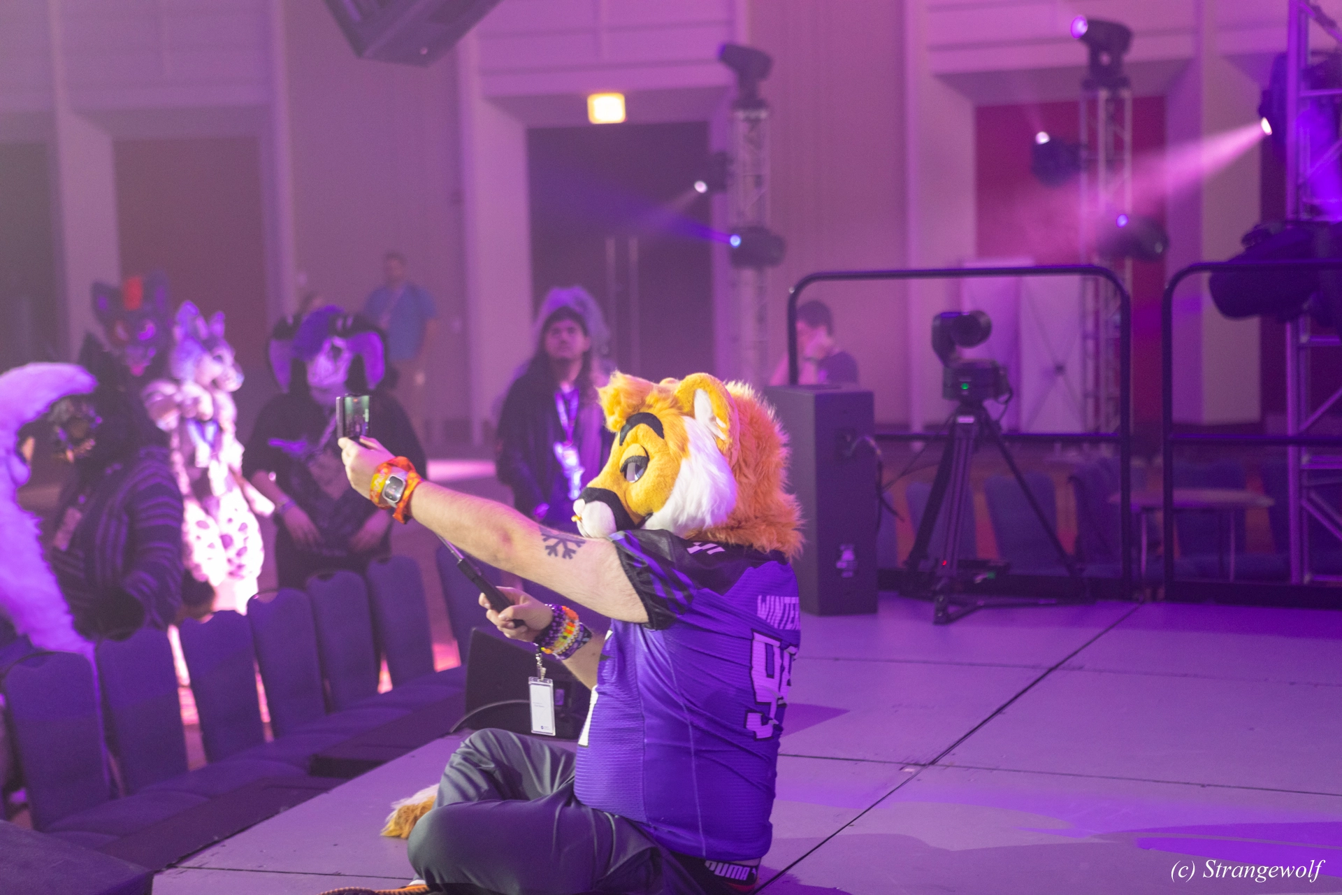 full image 1R3A0356-lr19t.jpg