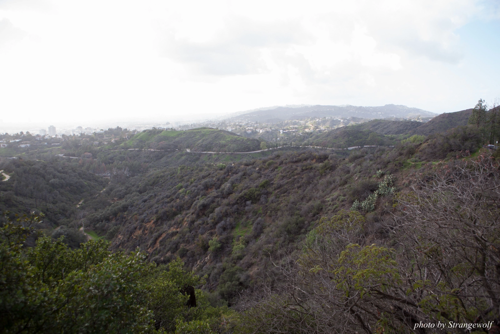 full image IMG_0959-lr16t.jpg