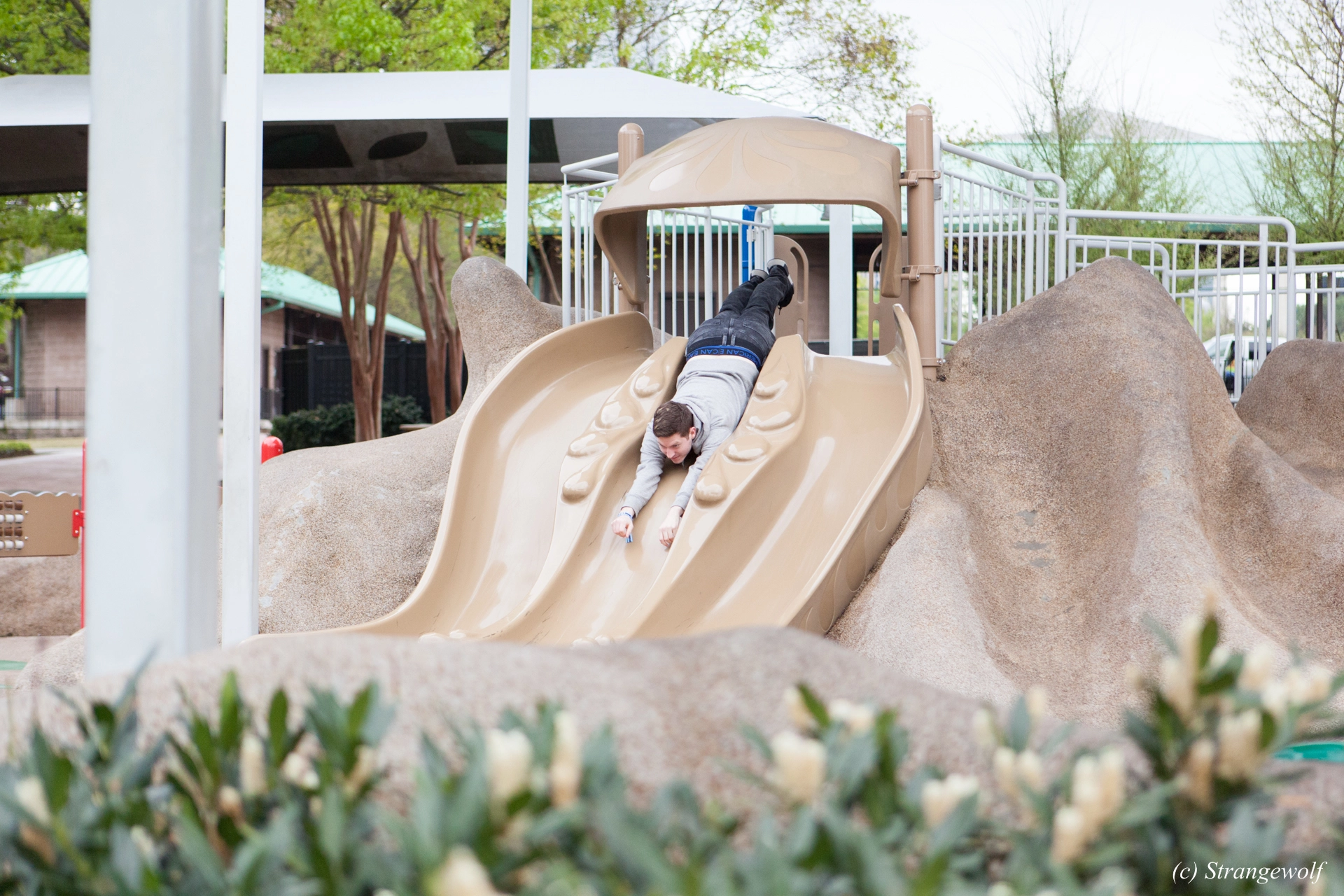 full image IMG_2154-lr19t.jpg