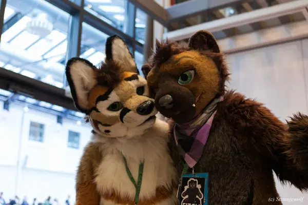 IMG_4987-lr19t.jpg of EF/EF24/