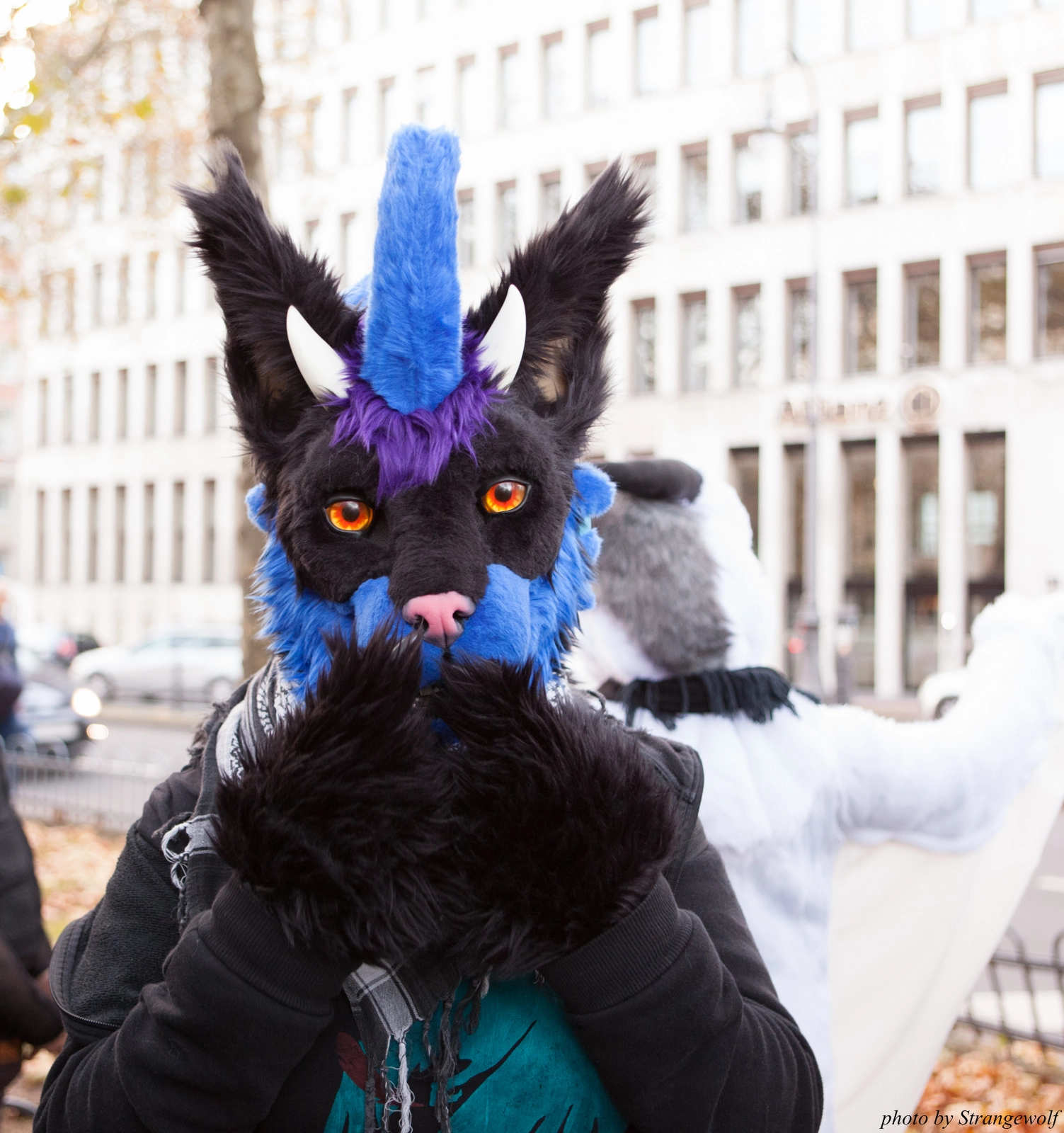 full image IMG_5336-lr16t.jpg