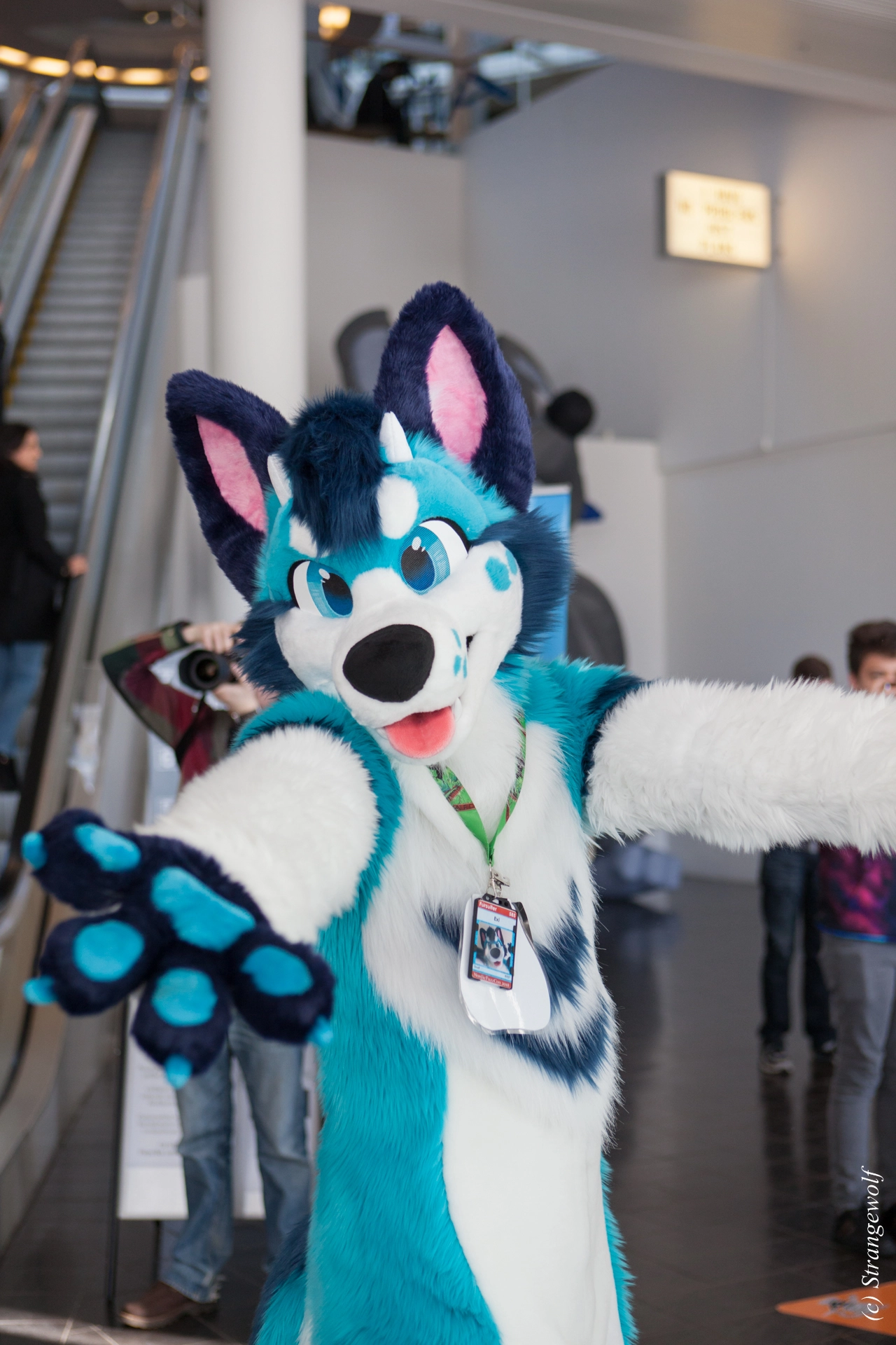 full image IMG_9497-lr19t.jpg