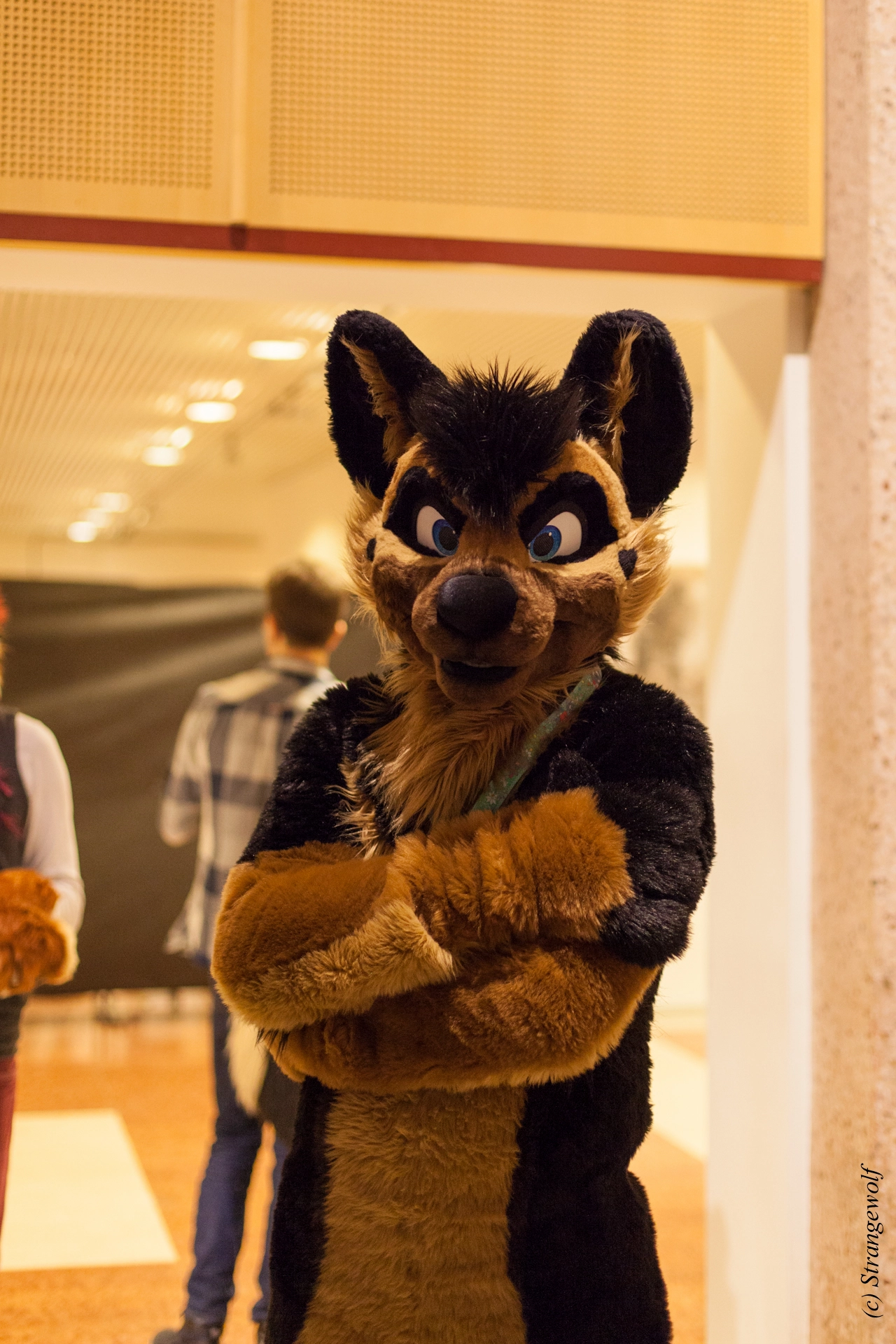 full image IMG_9872-lr19t.jpg