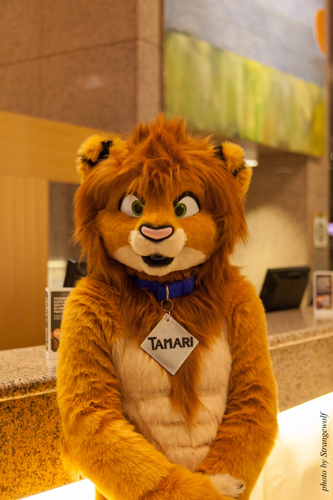 full image IMG_1743-lr16t.jpg