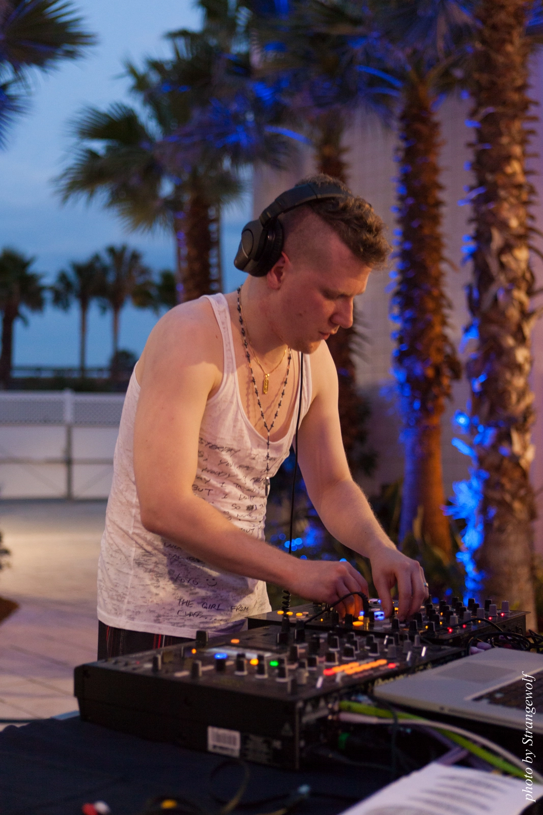 full image IMG_8432-lr16t.jpg