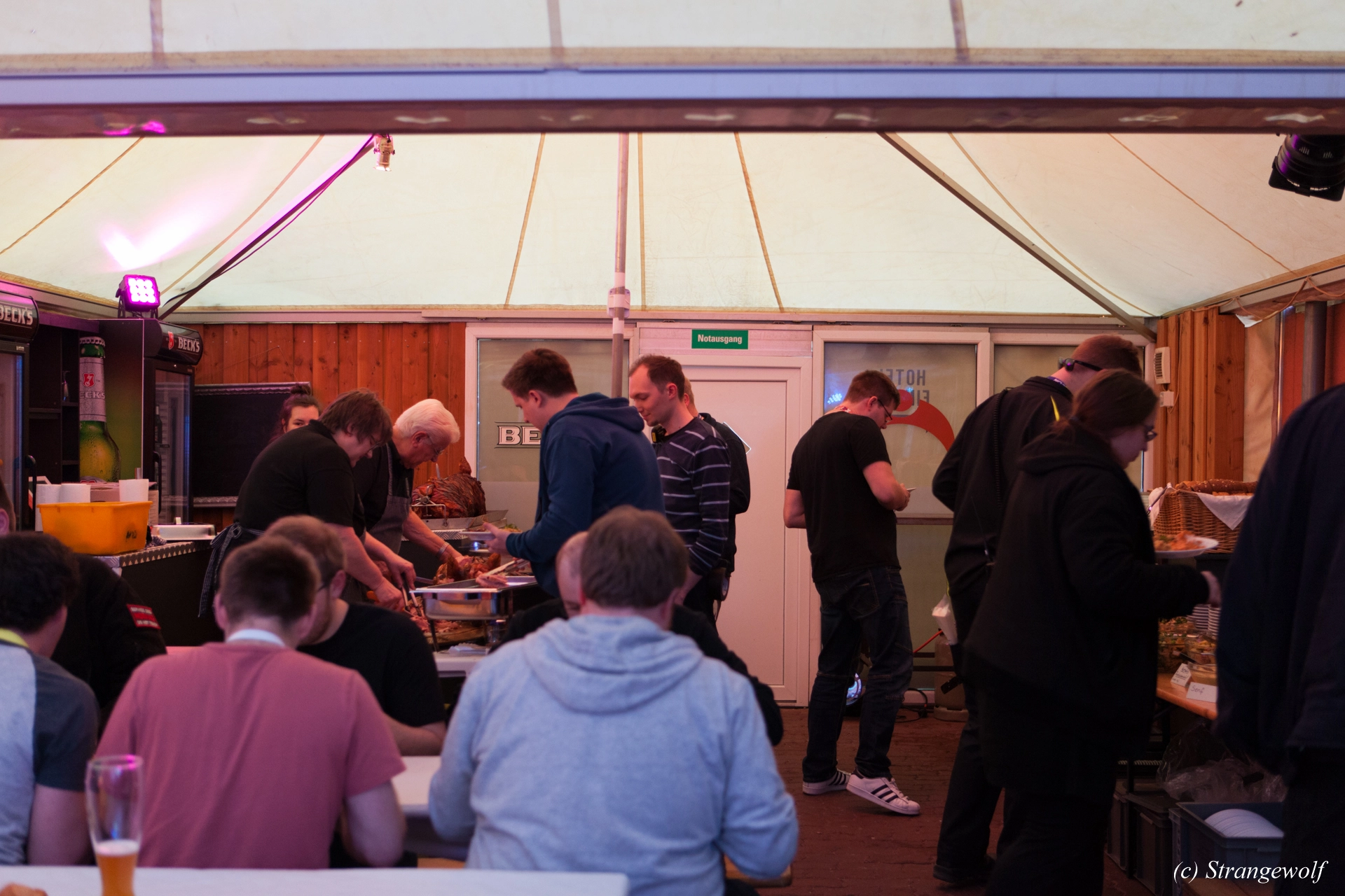 full image IMG_0608-lr19t.jpg