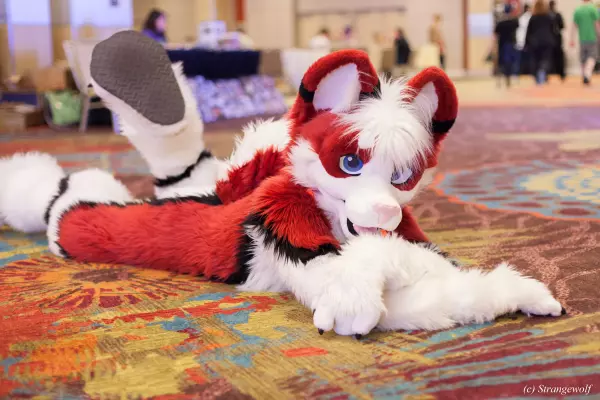 IMG_3103-lr.jpg of BLFC/2018/