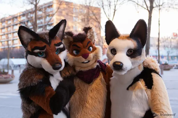 IMG_8867-lr19t.jpg of NFC/NFC2019/