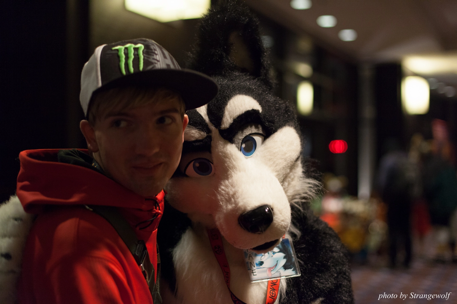 full image IMG_4263-lr16t.jpg