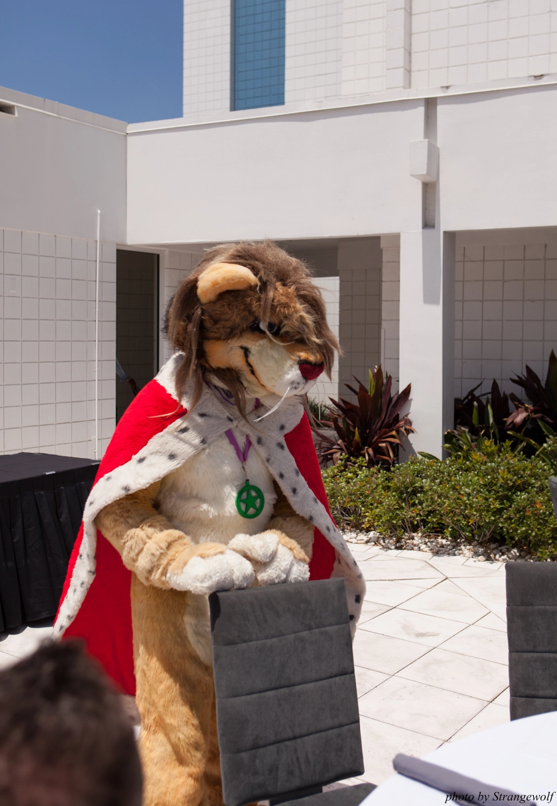 full image IMG_8807-lr16t.jpg