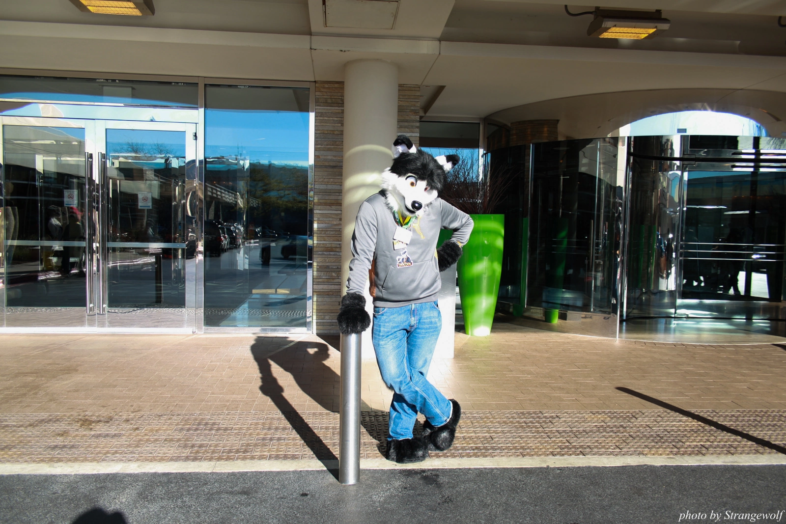 full image IMG_0899-lr.jpg