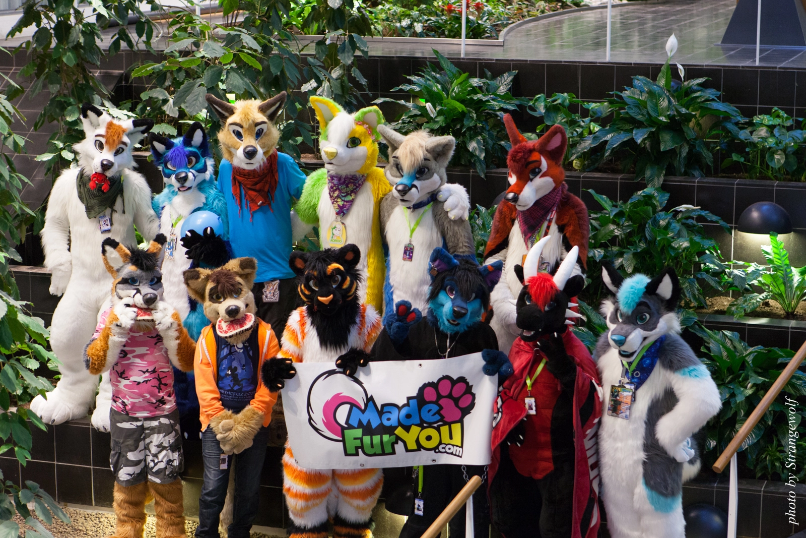 full image IMG_1714-lr16t.jpg