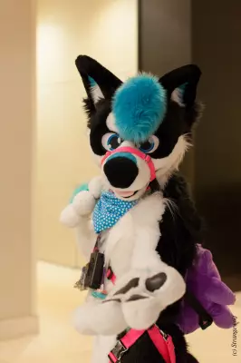 IMG_7367-lr19t.jpg of MFF/MFF2018/