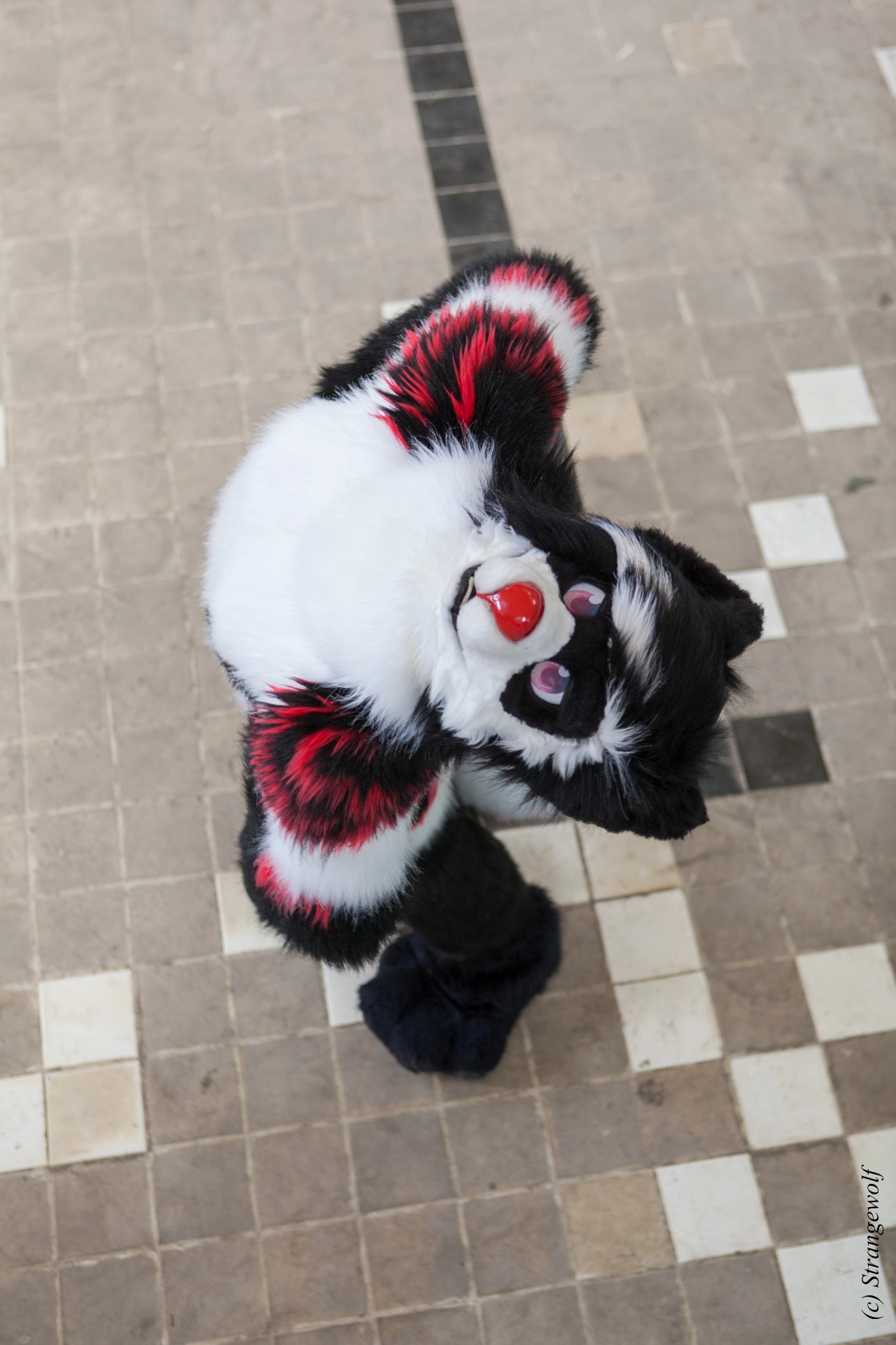 full image IMG_6109-lr19t.jpg