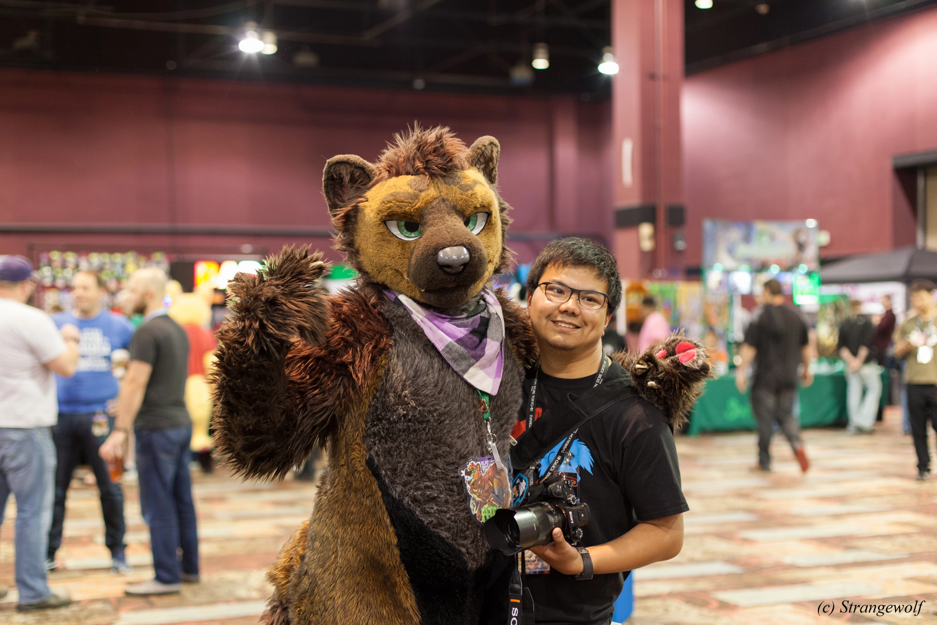 full image IMG_2624-lr19t.jpg