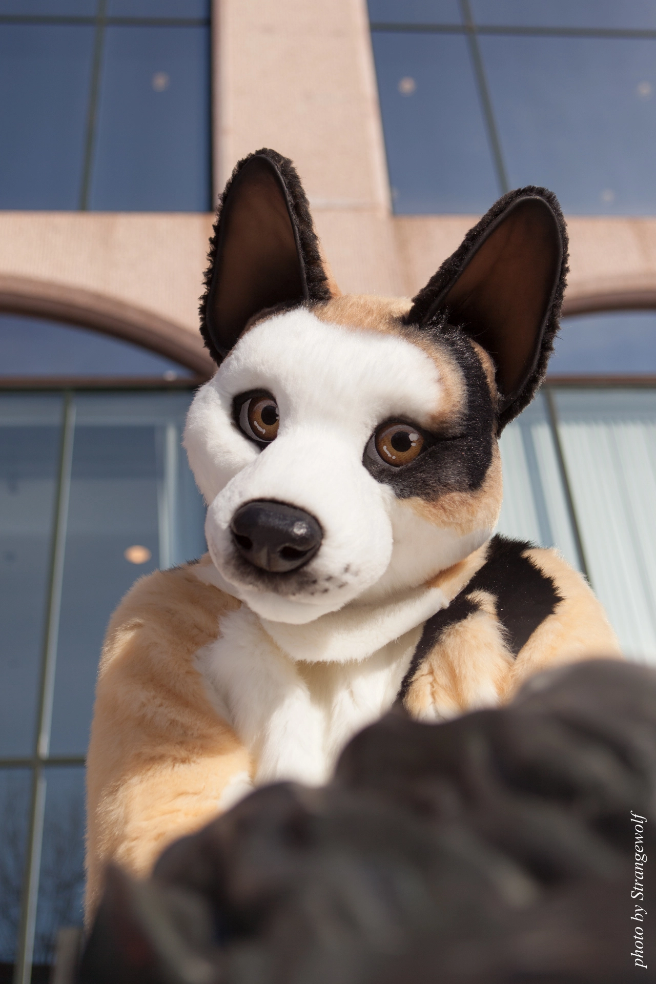 full image IMG_9589-lr19t.jpg