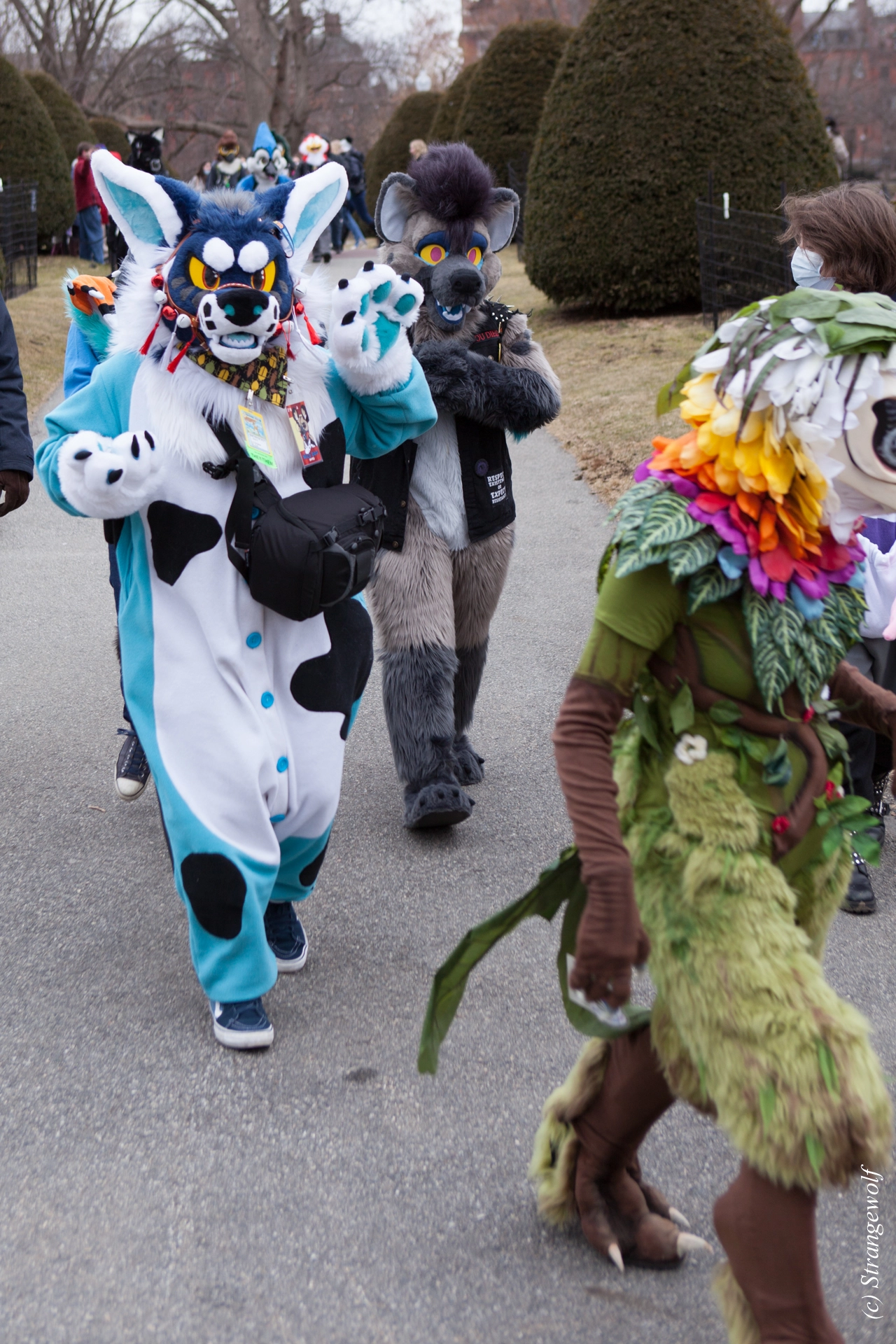 full image IMG_3283-lr19t.jpg