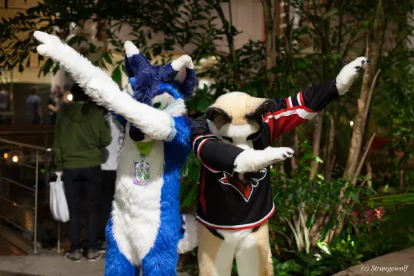 IMG_9060-lr19t.jpg of NFC/NFC2019/Shoot-Defus/