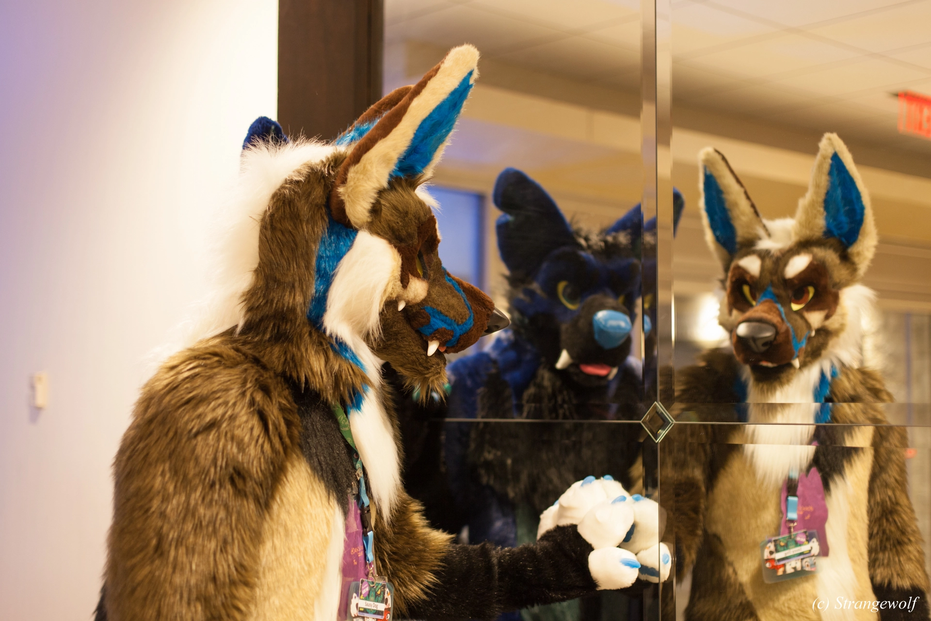 full image IMG_1428-lr19t.jpg