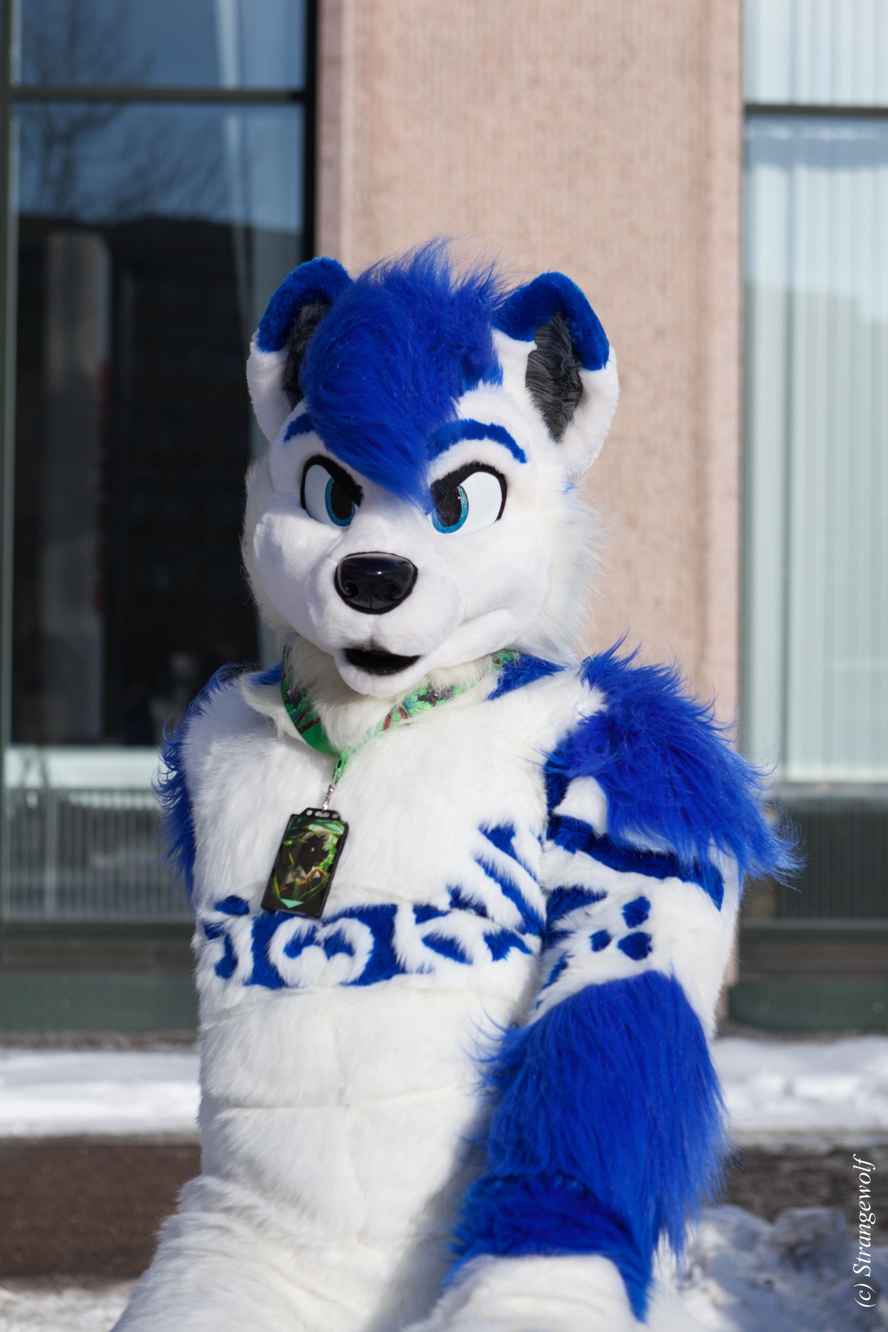 full image IMG_9726-lr19t.jpg