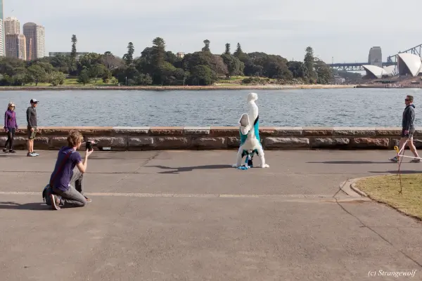 IMG_4381-lr19t.jpg of HCFC/HCFC2019/